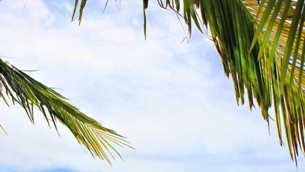 A beach with a thatched-roof hut and a small boat. - Treasure Island Resort (Olongapo)