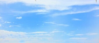 Treasure Island Resort