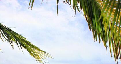 Treasure Island Resort