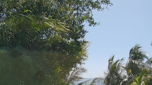 An outdoor seating area with tables and chairs, surrounded by trees and a view of the beach. - Treasure Island Resort (Olongapo)
