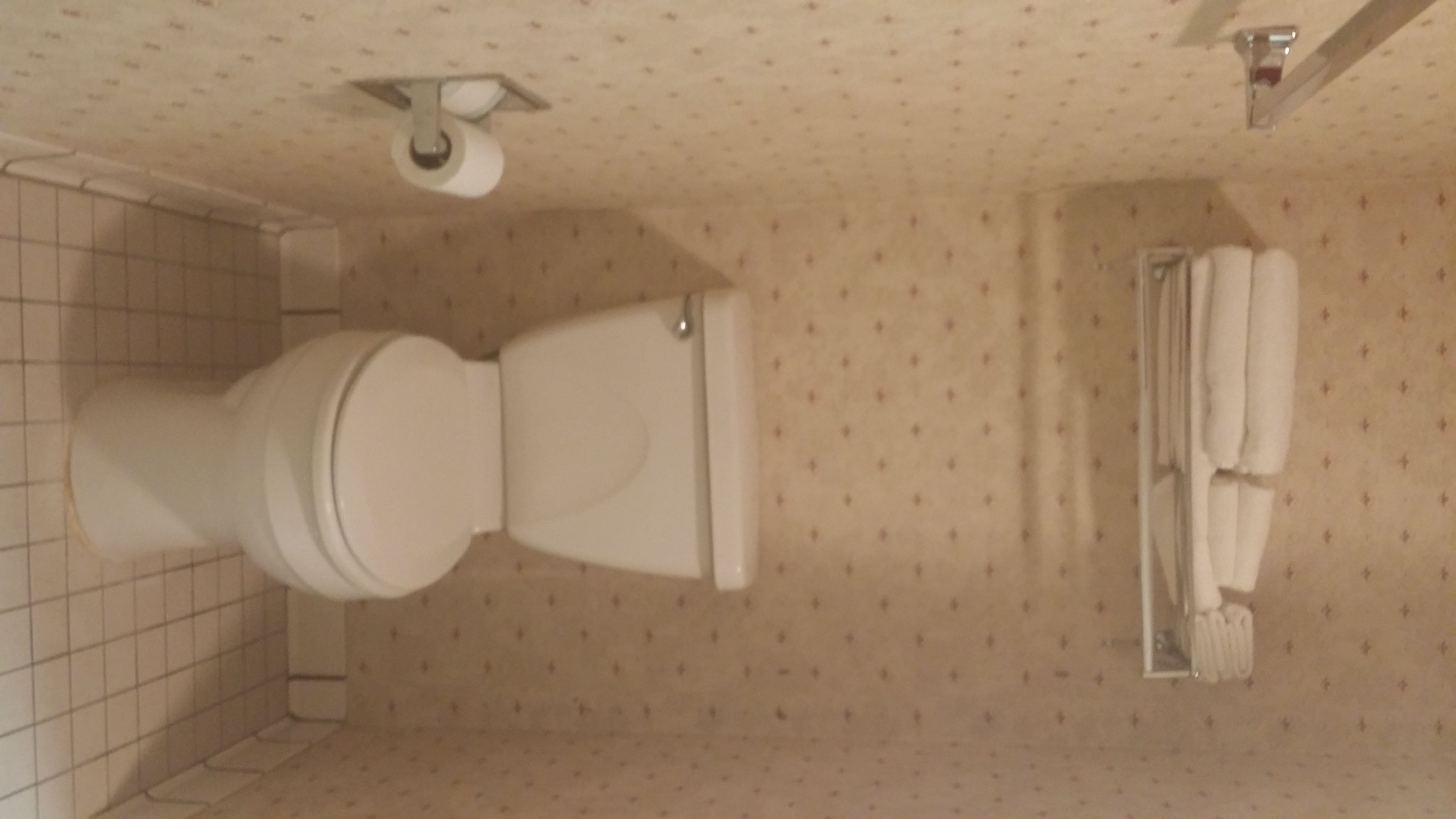 Une salle de bain équipée de toilettes, d’un porte-serviettes et d’un rideau de douche.