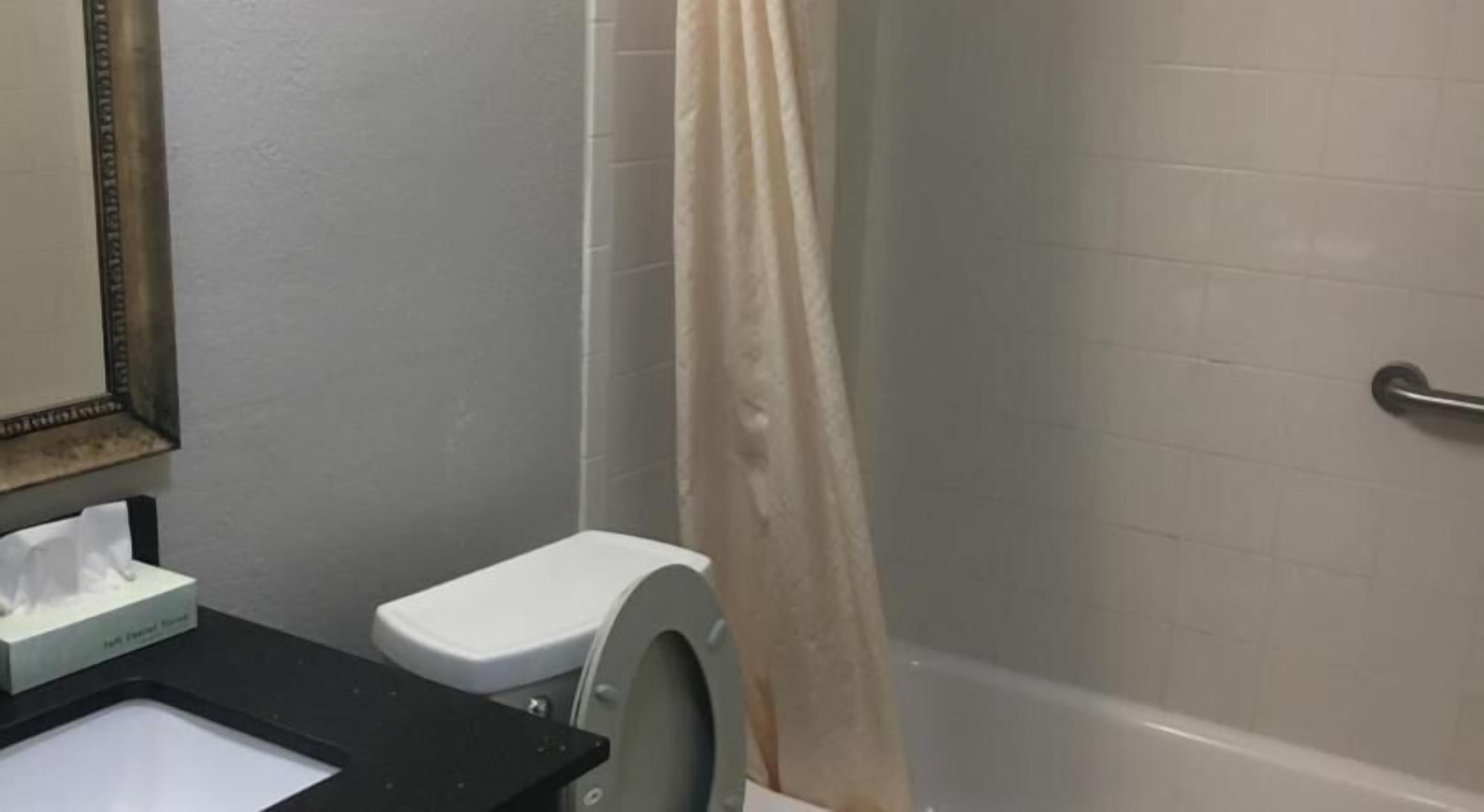 Bathroom | Combined shower/tub, hydromassage showerhead, free toiletries