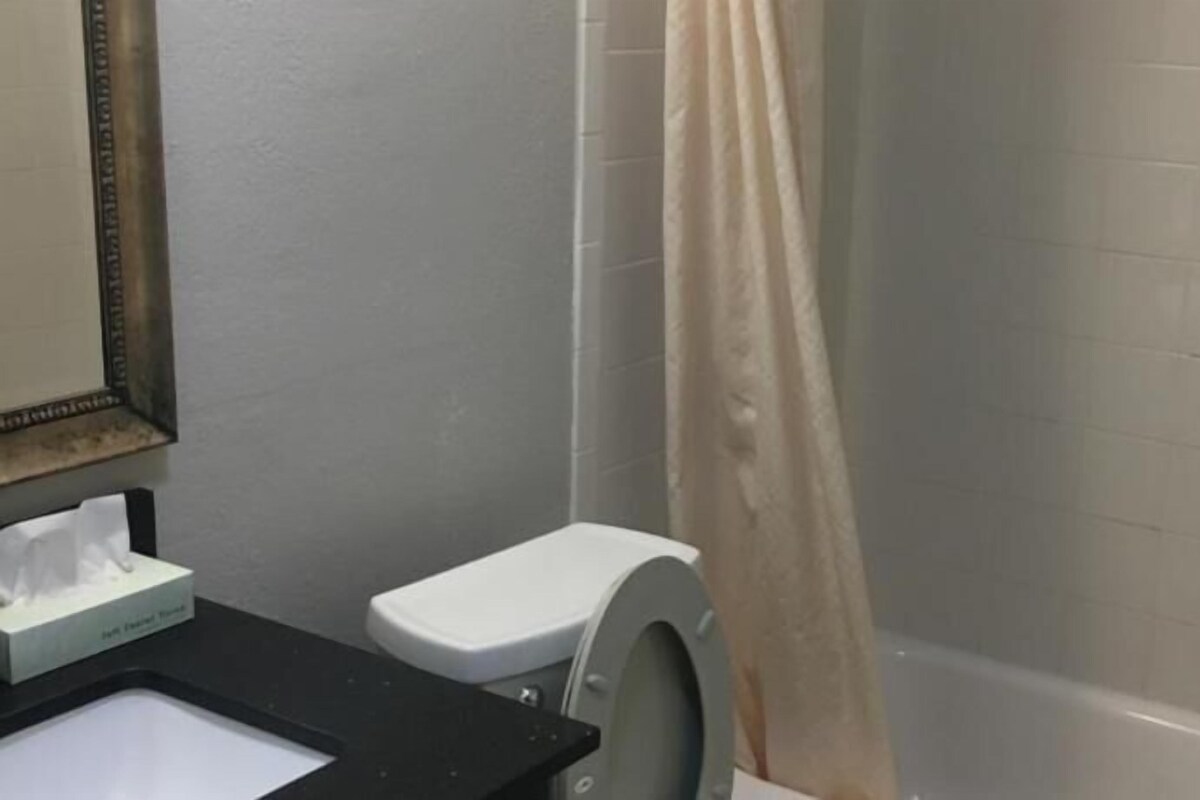 A bathroom with a toilet, a sink, a mirror, and a shower curtain.