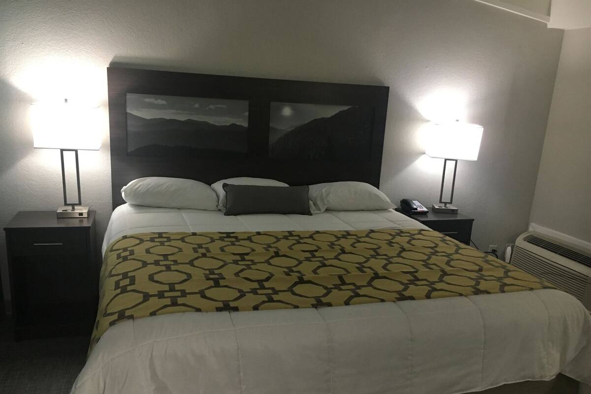 Une chambre d’hôtel comprenant un lit, deux tables de chevet, une tête de lit décorée, un téléphone et un radiateur.