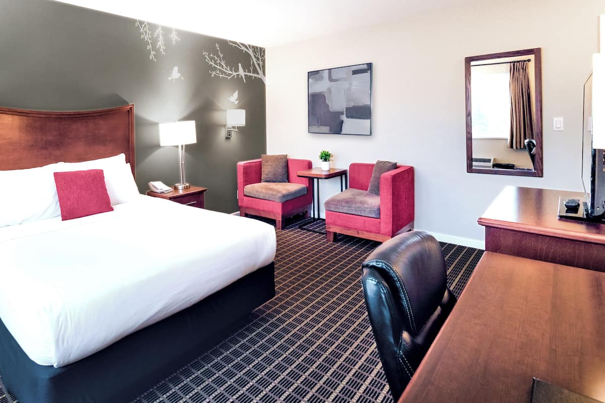 Ein Hotelzimmer mit einem großen Bett, einem Schreibtisch, einem Sessel, einem kleinen Tisch mit Pflanze und einem Bild an der Wand.