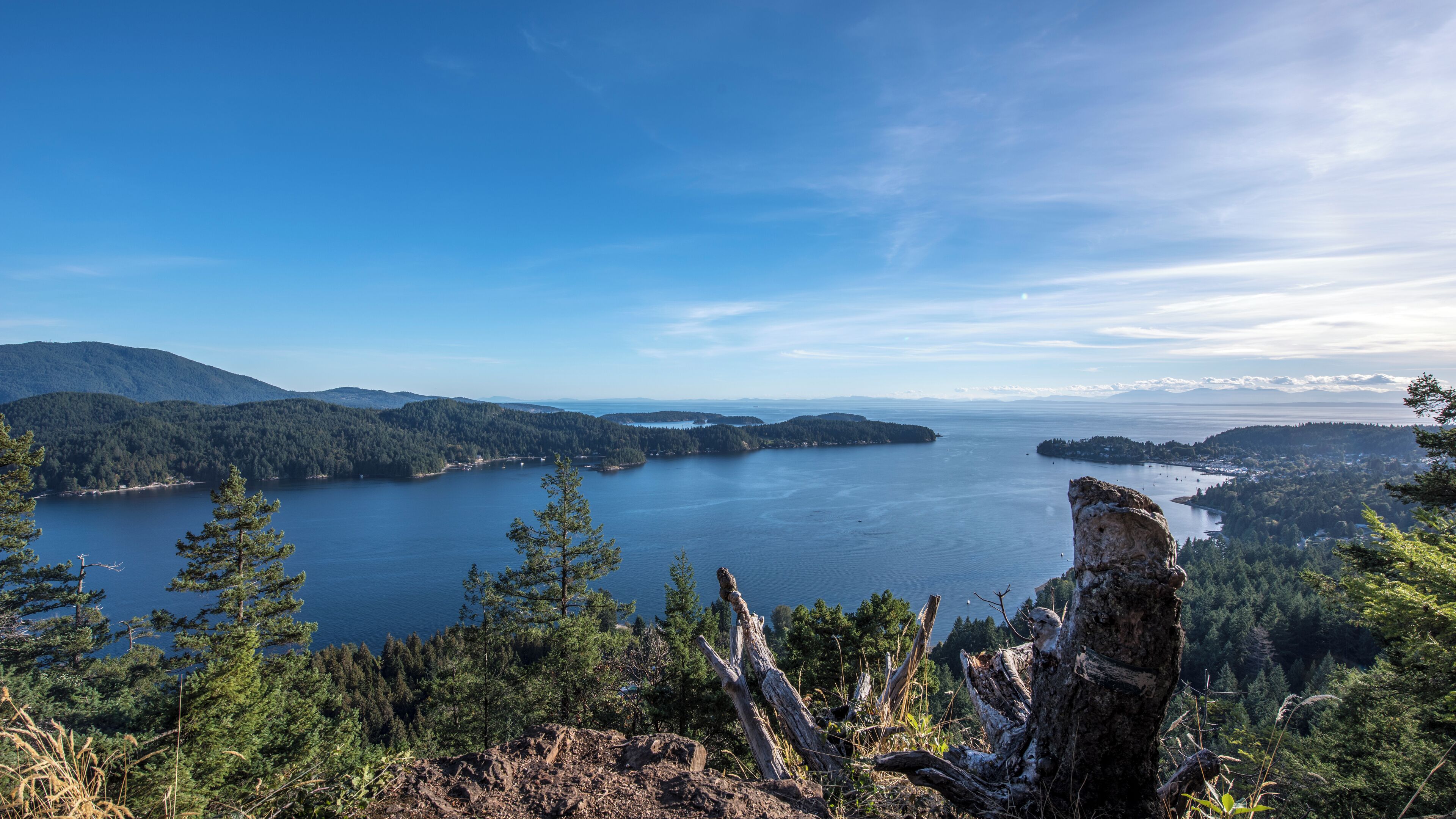 Una vista panorámica de un lago rodeado de bosques densos y montañas.