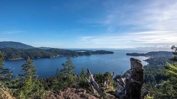 Una vista panorámica de un lago rodeado de bosques densos y montañas.
