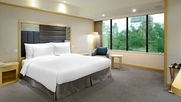 Deluxe Room (Double) | View from room