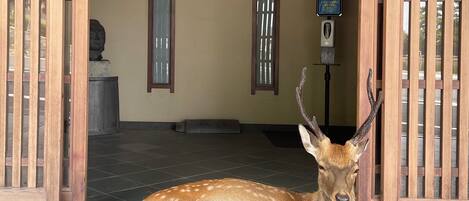 Fachada del alojamiento