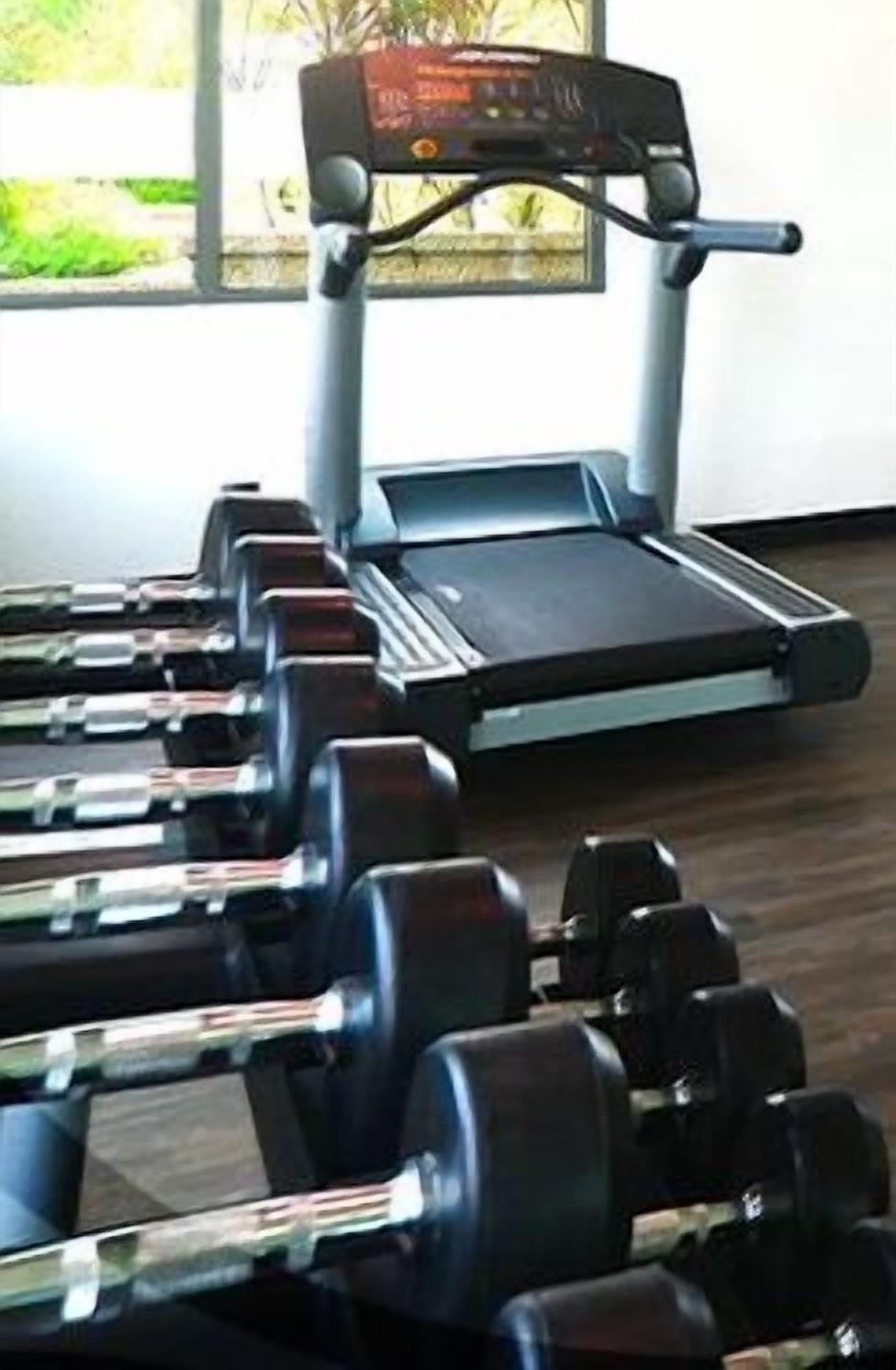 A gym with treadmills and dumbbells.