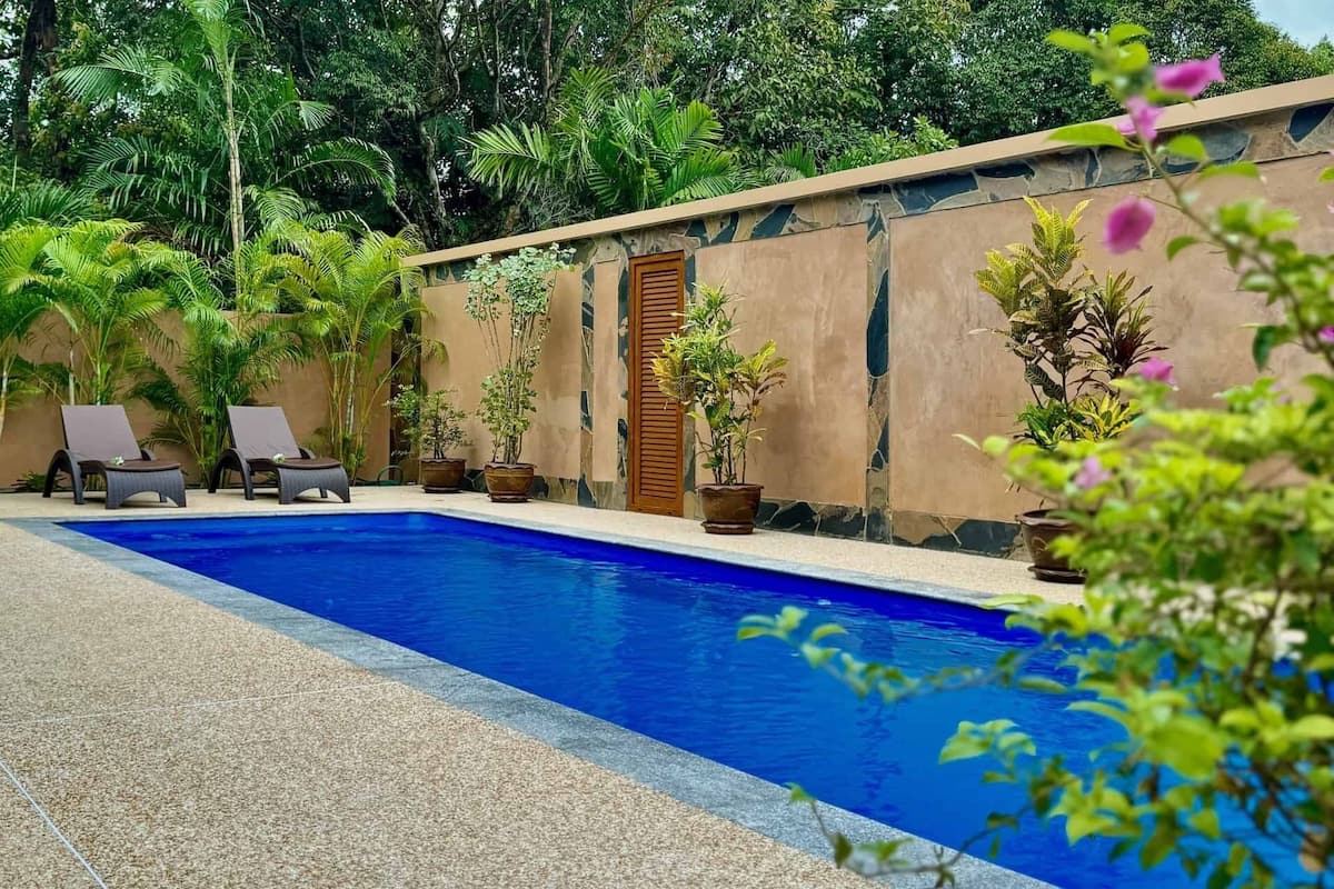 Une piscine avec des chaises longues et des plantes en pot.