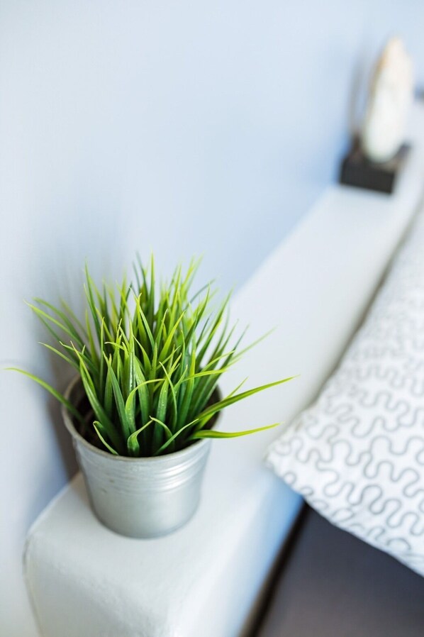 Una planta pequeña en maceta sobre una superficie blanca, junto a una cama con colcha estampada.