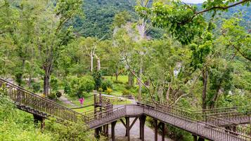 Un puente de madera con barandillas en un paisaje verde y exuberante.