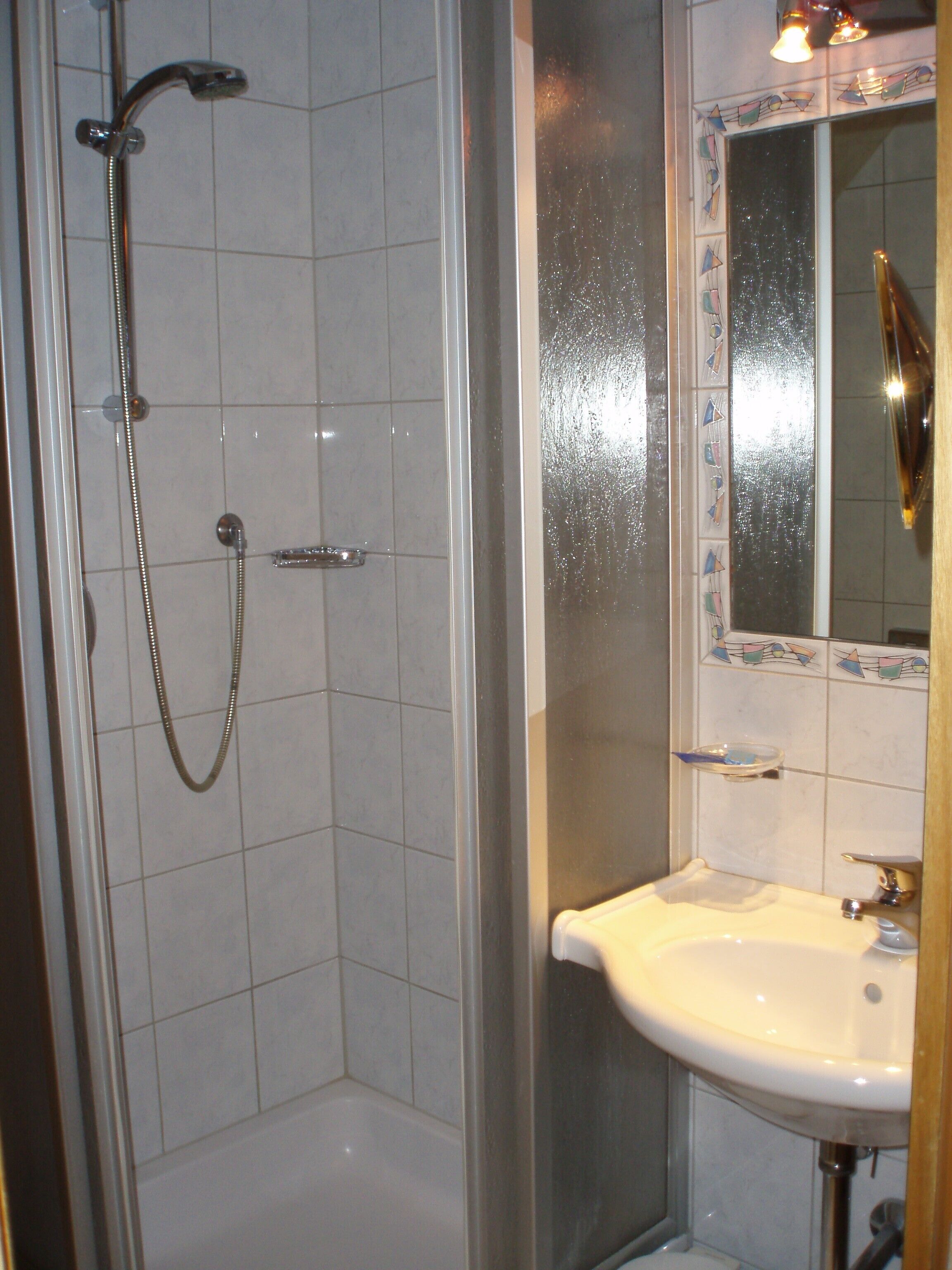 standard single room | bathroom shower