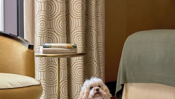 A small dog in a pet bed, a sofa, a chair, a small table with books, and a curtain with a circular pattern.