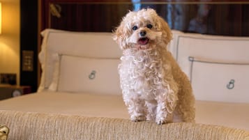 Pet-friendly