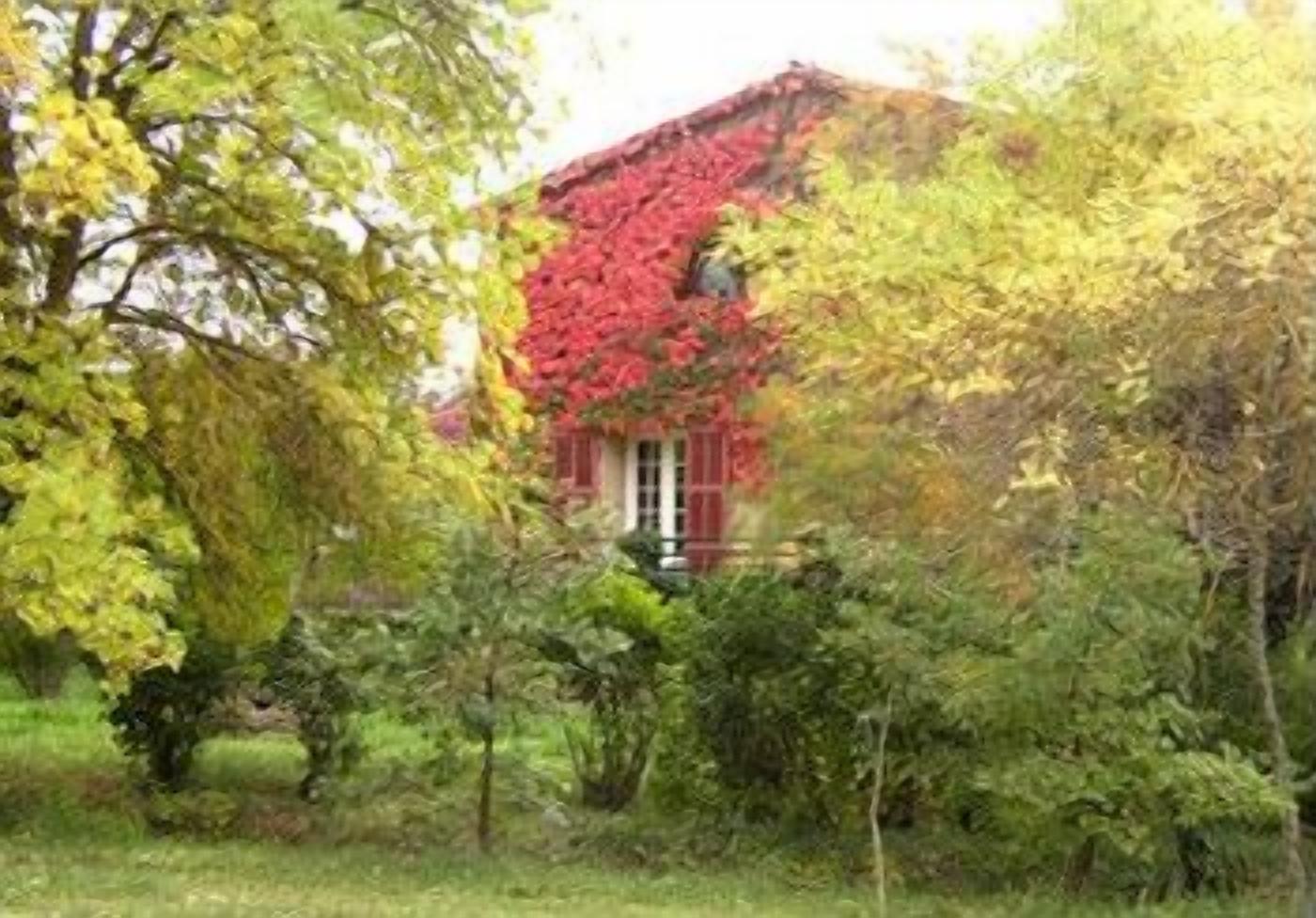 Een huis met een rood dak, deels bedekt met klimop, omringd door weelderige begroeiing.