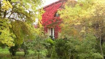 Een huis met een rood dak, deels bedekt met klimop, omringd door weelderige begroeiing.