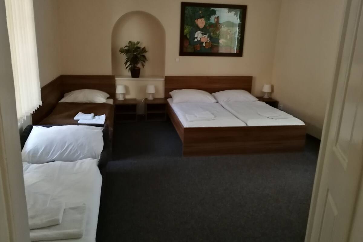 Apartment | In-room safe, rollaway beds (surcharge), WiFi (free)