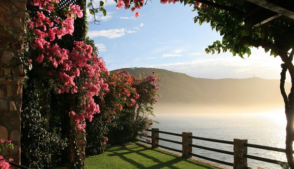 Garden - TwoAngels (Knysna)