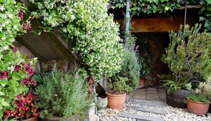 Garden - TwoAngels (Knysna)