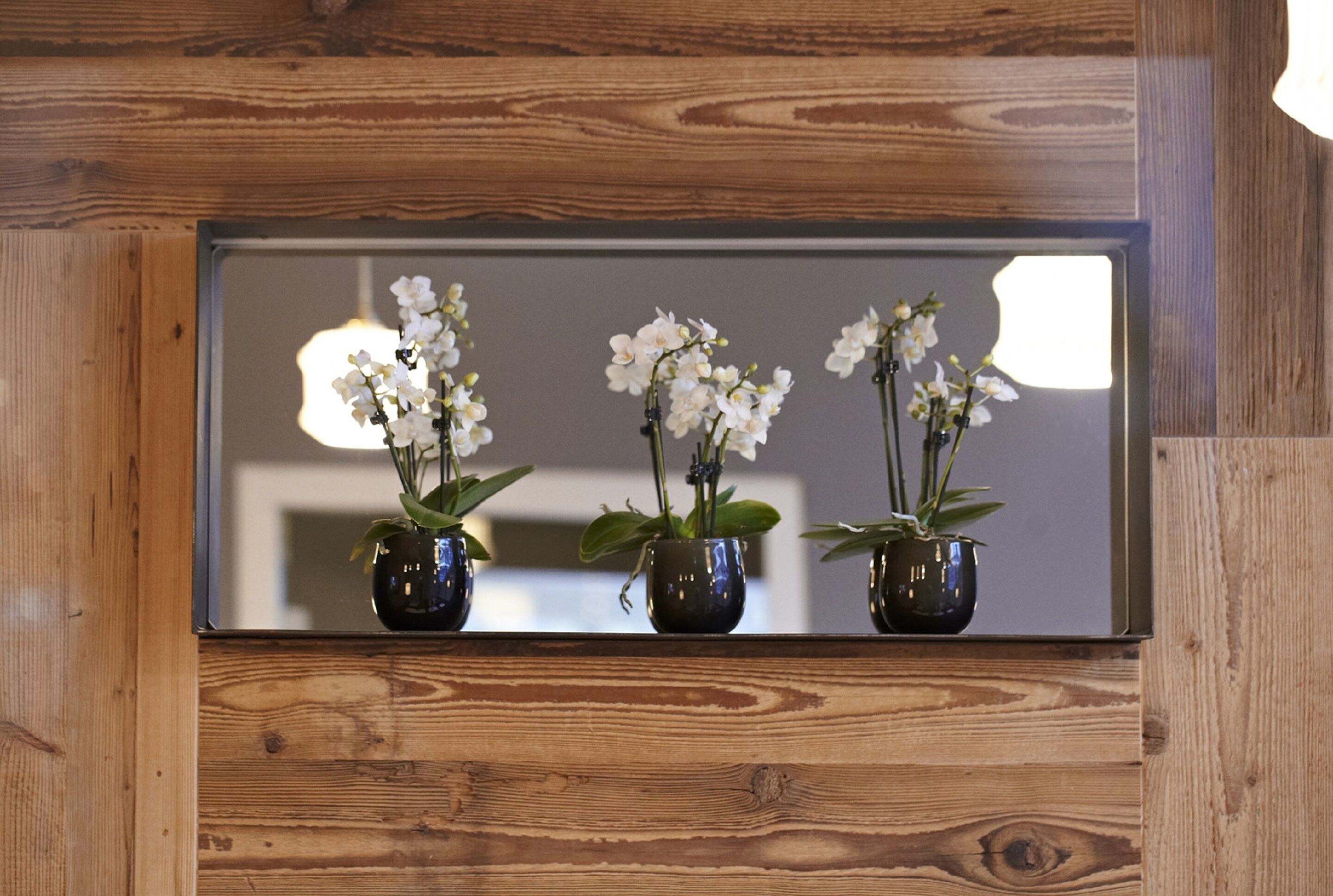 A wooden-framed mirror with three potted orchids.