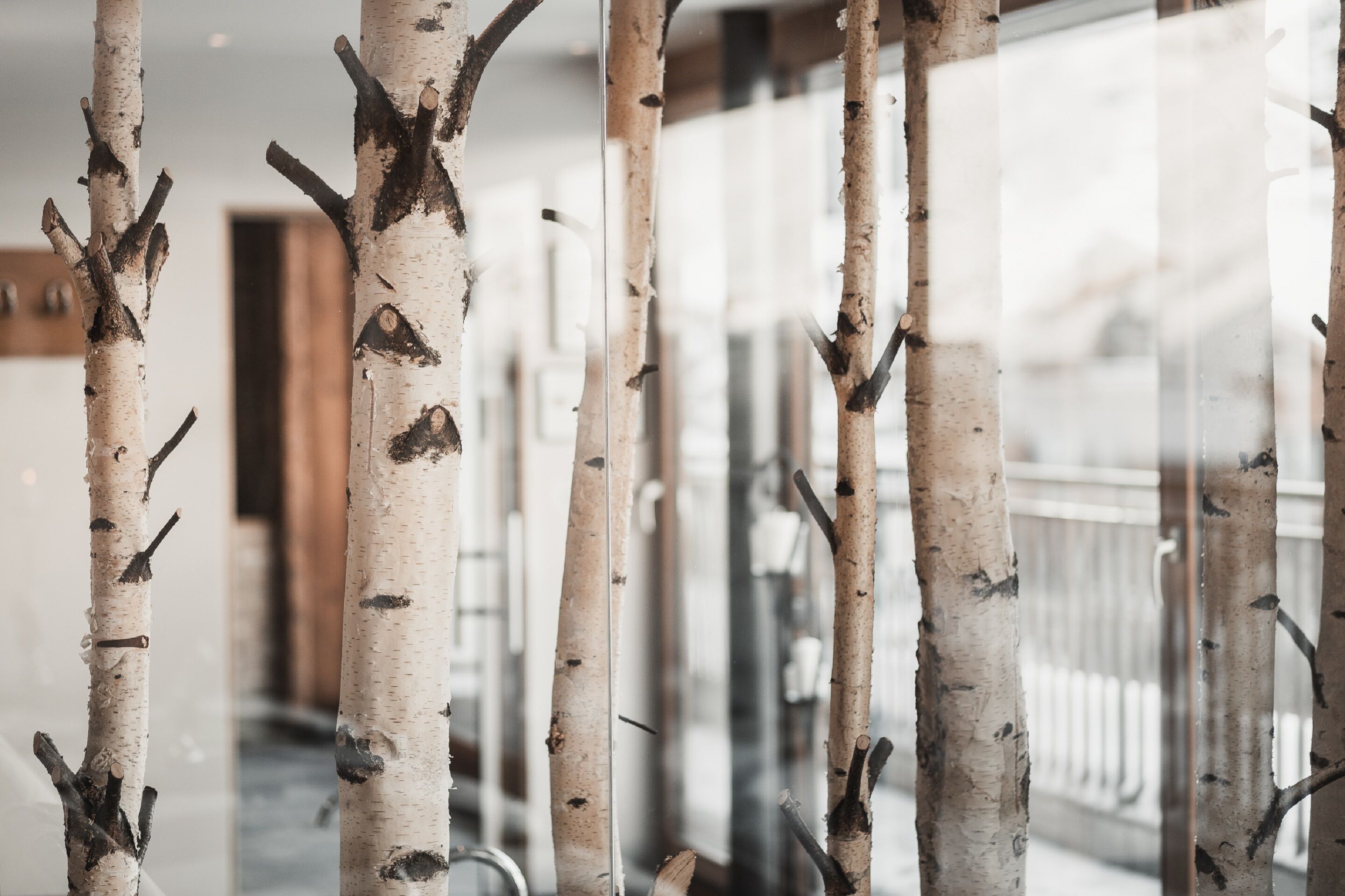 Lumi- ja hiihtourheilulajit