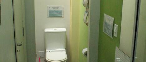 A bathroom with a white toilet, a sink, and a mirror.