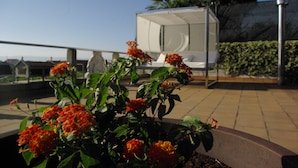 A terrace with a potted plant of orange flowers, a white canopy structure, and a hedge in the background. - Casa Mariñeira Lourdes (Cambados)