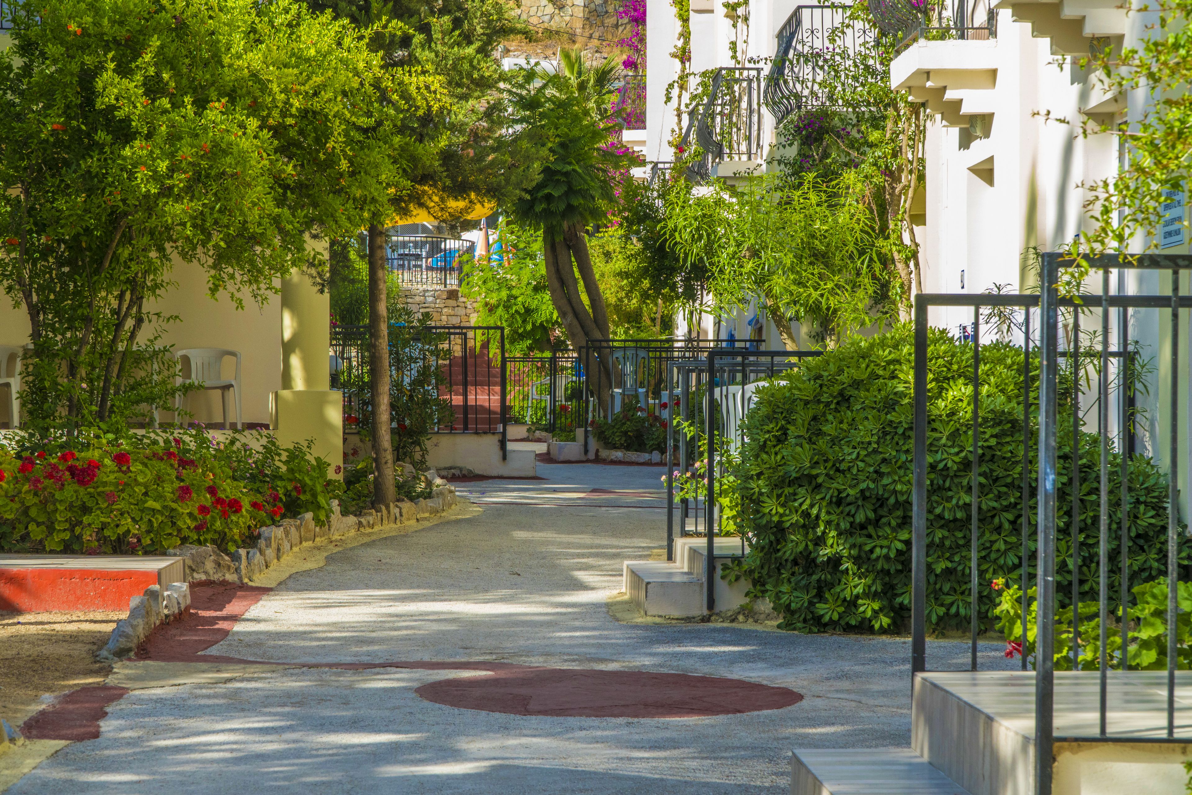 Photo - Paloma Family Club