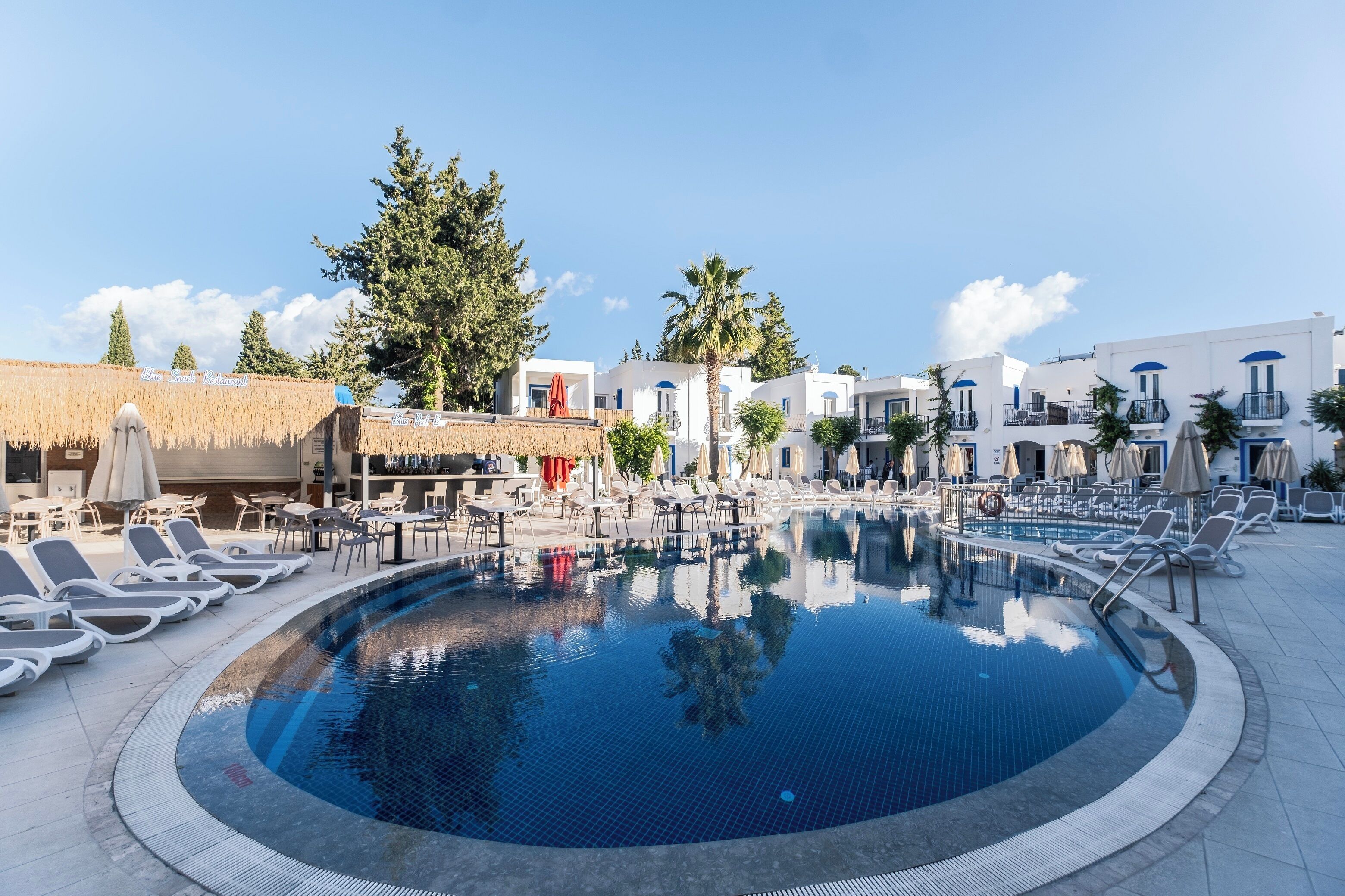 A pool area with lounge chairs and umbrellas, surrounded by white buildings with blue accents and palm trees.