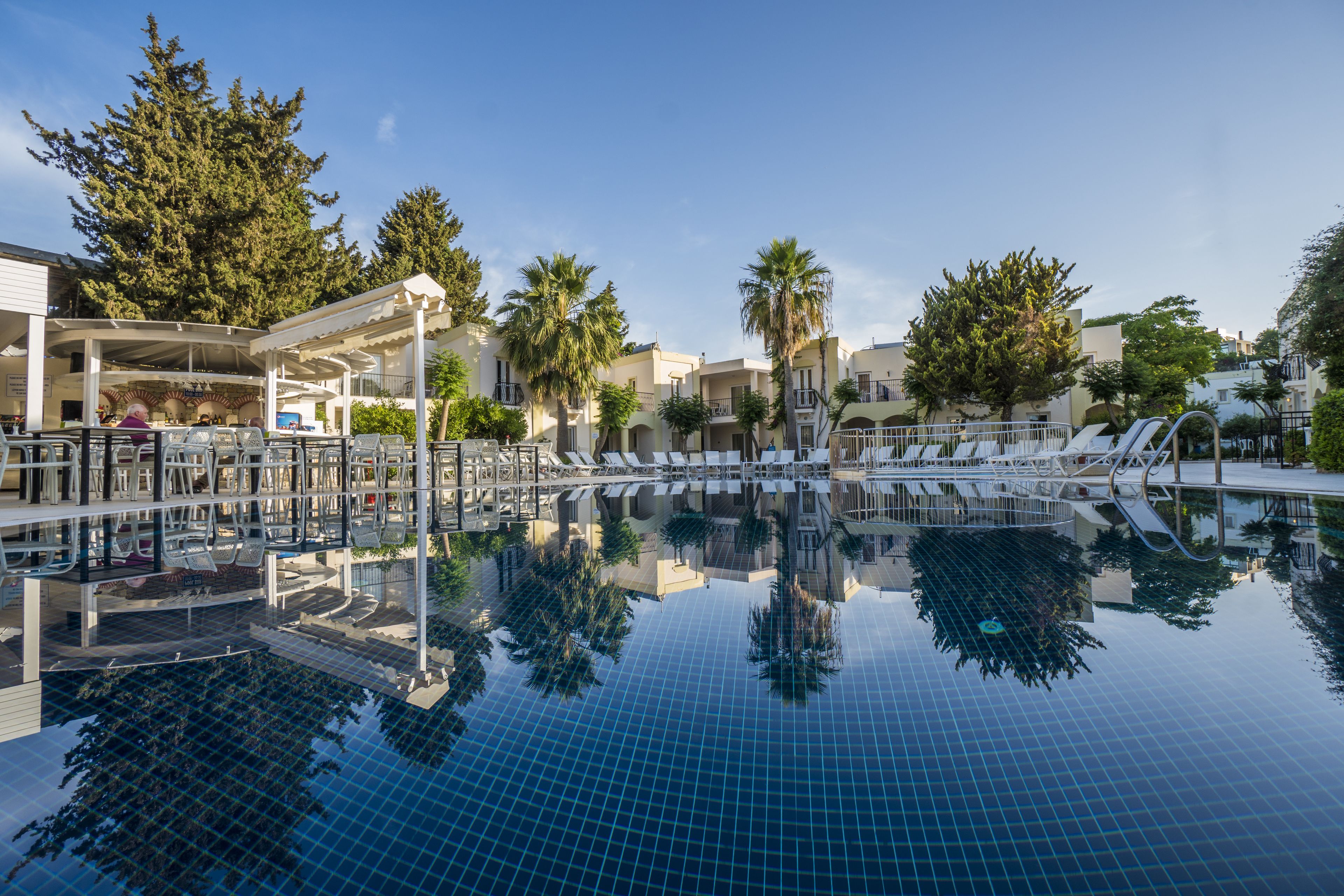 Photo - Paloma Family Club