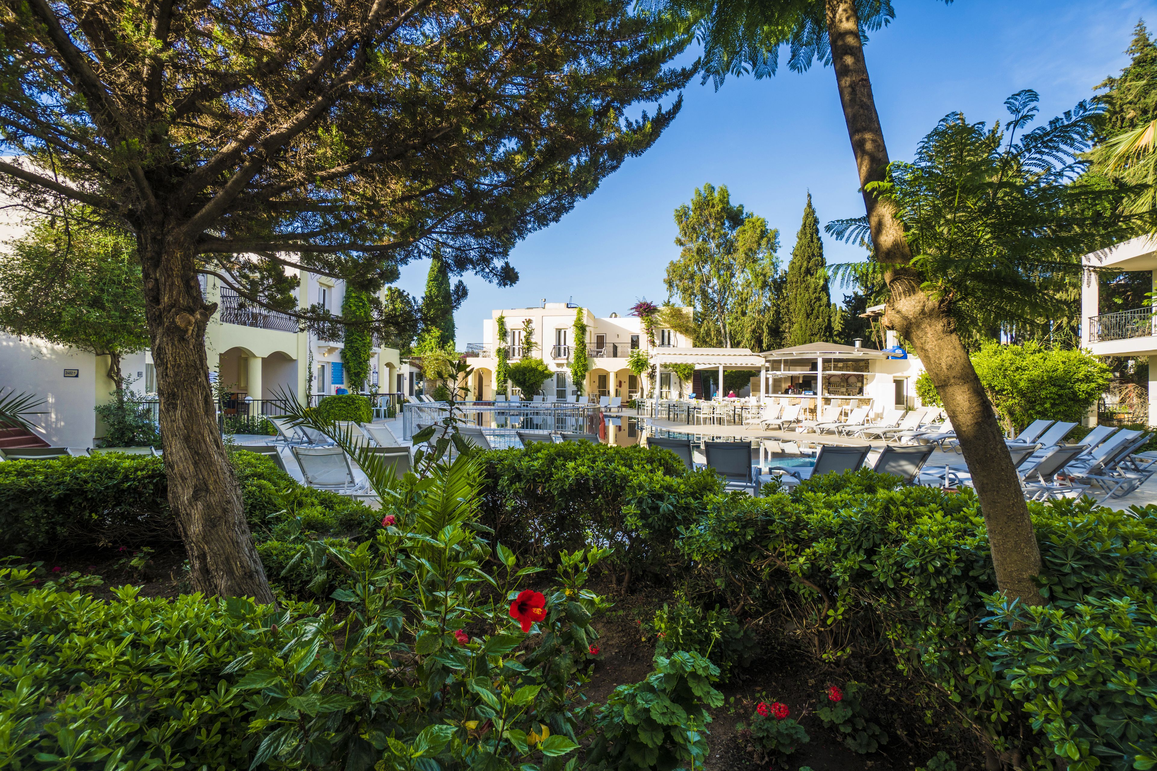 Photo - Paloma Family Club