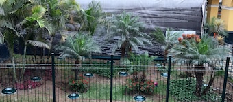 Hospedaje Santa Rosa