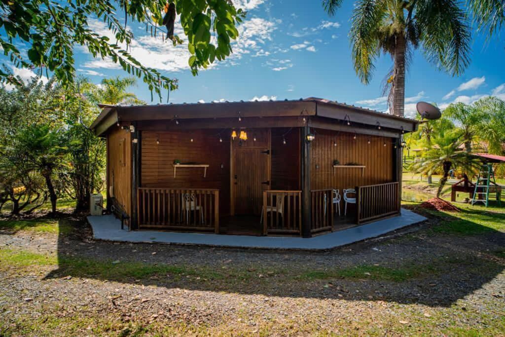 A wooden cabin with a porch, surrounded by trees and a palm tree.