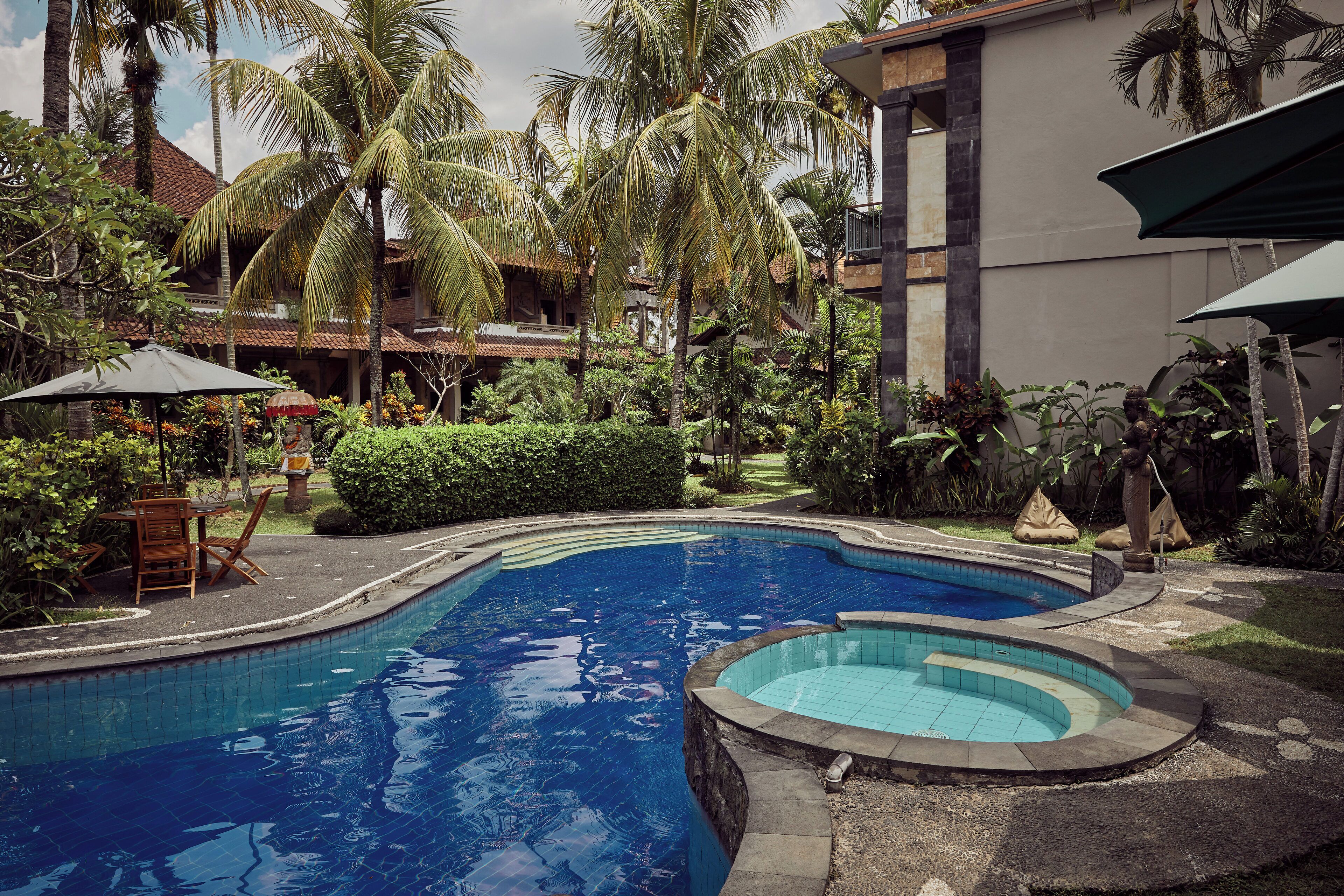 Outdoor pool, sun loungers