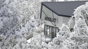 Unclassified image, 4 of 15, button - Absollut (Hotham Heights)