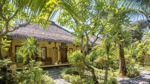 Garden - Mushroom Beach Bungalow (Lembongan Island)