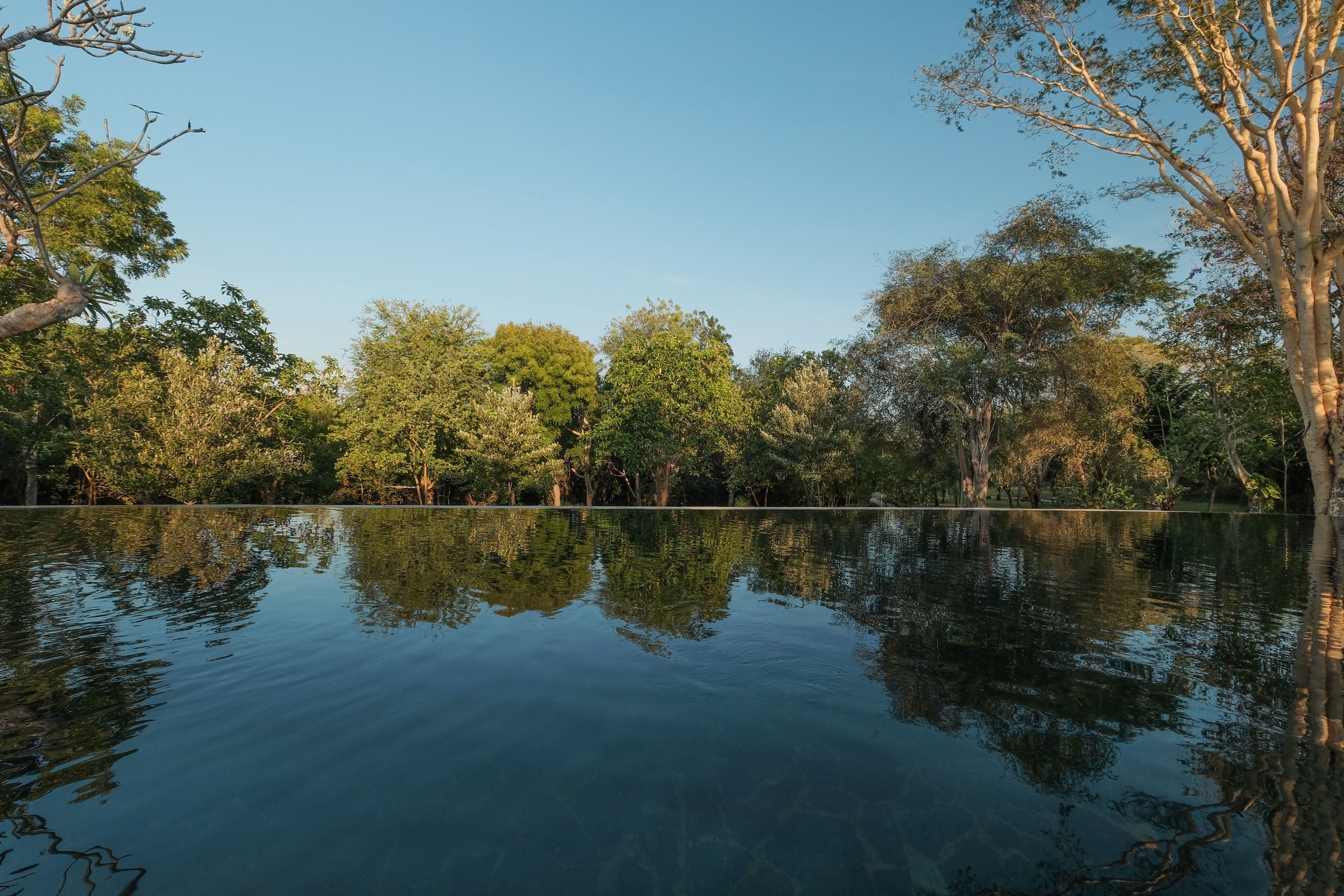 2 outdoor pools, pool loungers