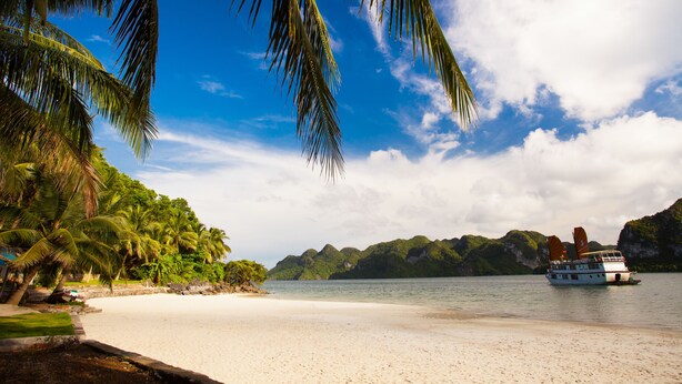 Una playa con palmeras, un bote y montañas al fondo.