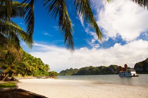 Una playa con palmeras, un bote y montañas al fondo.