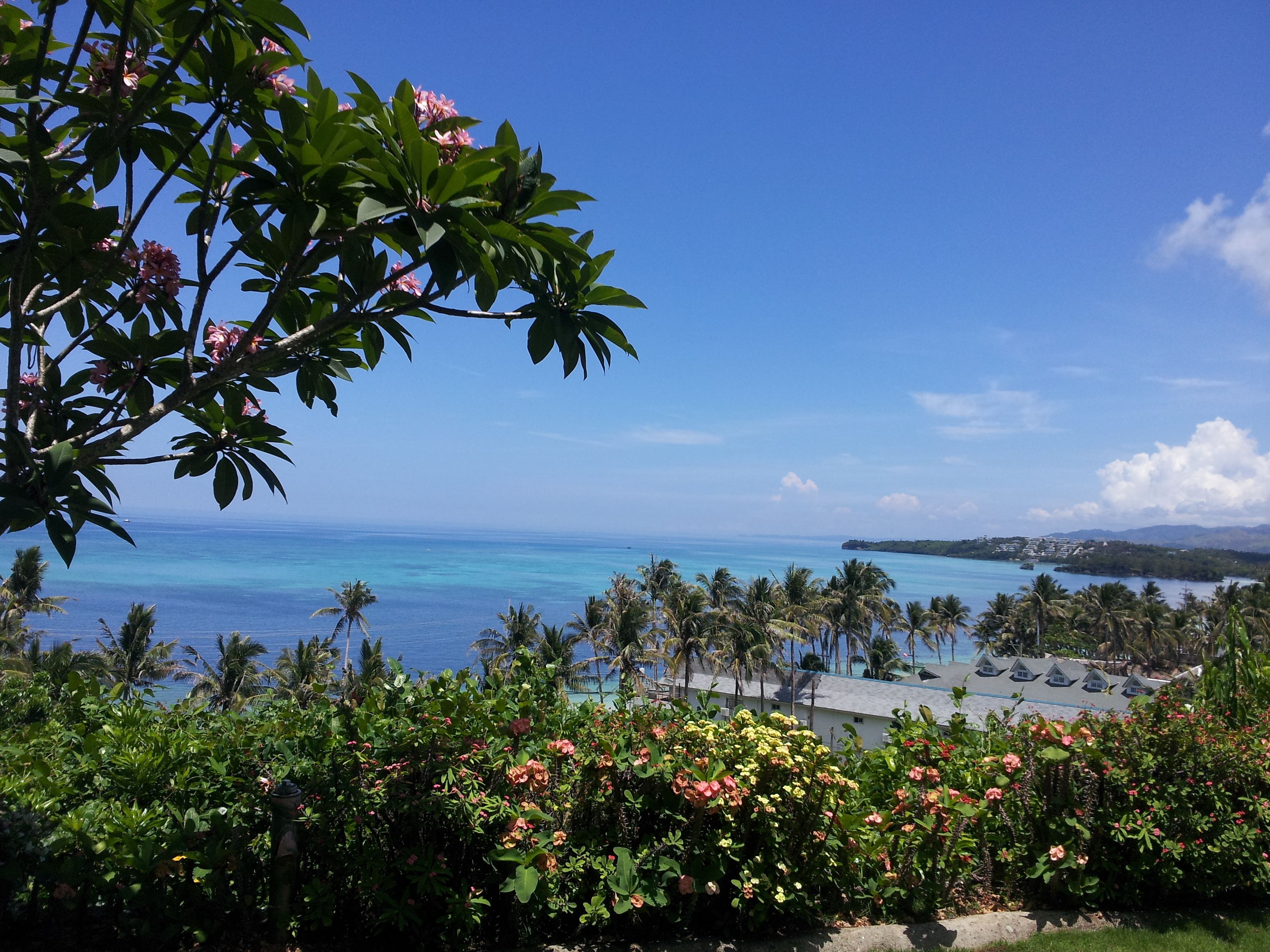 Photo - Ralph's Place