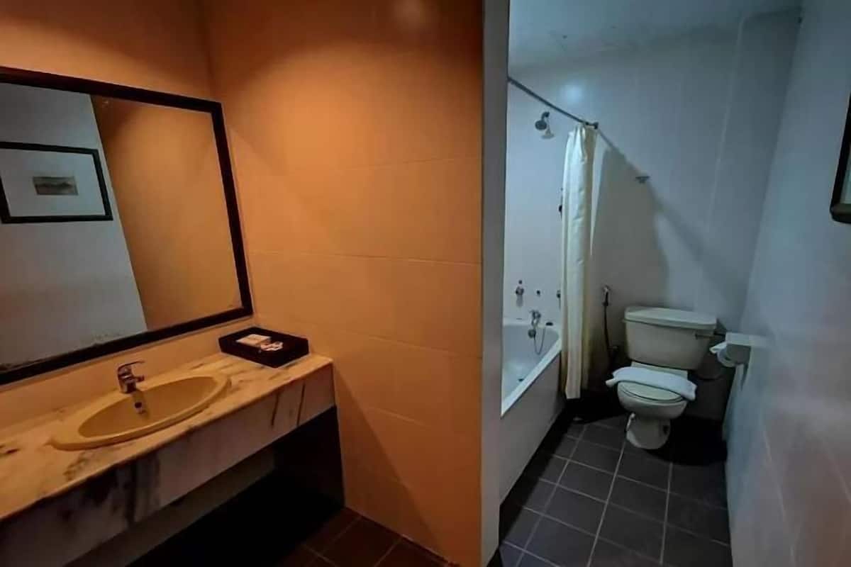 Rainfall showerhead, hair dryer, bidet, towels