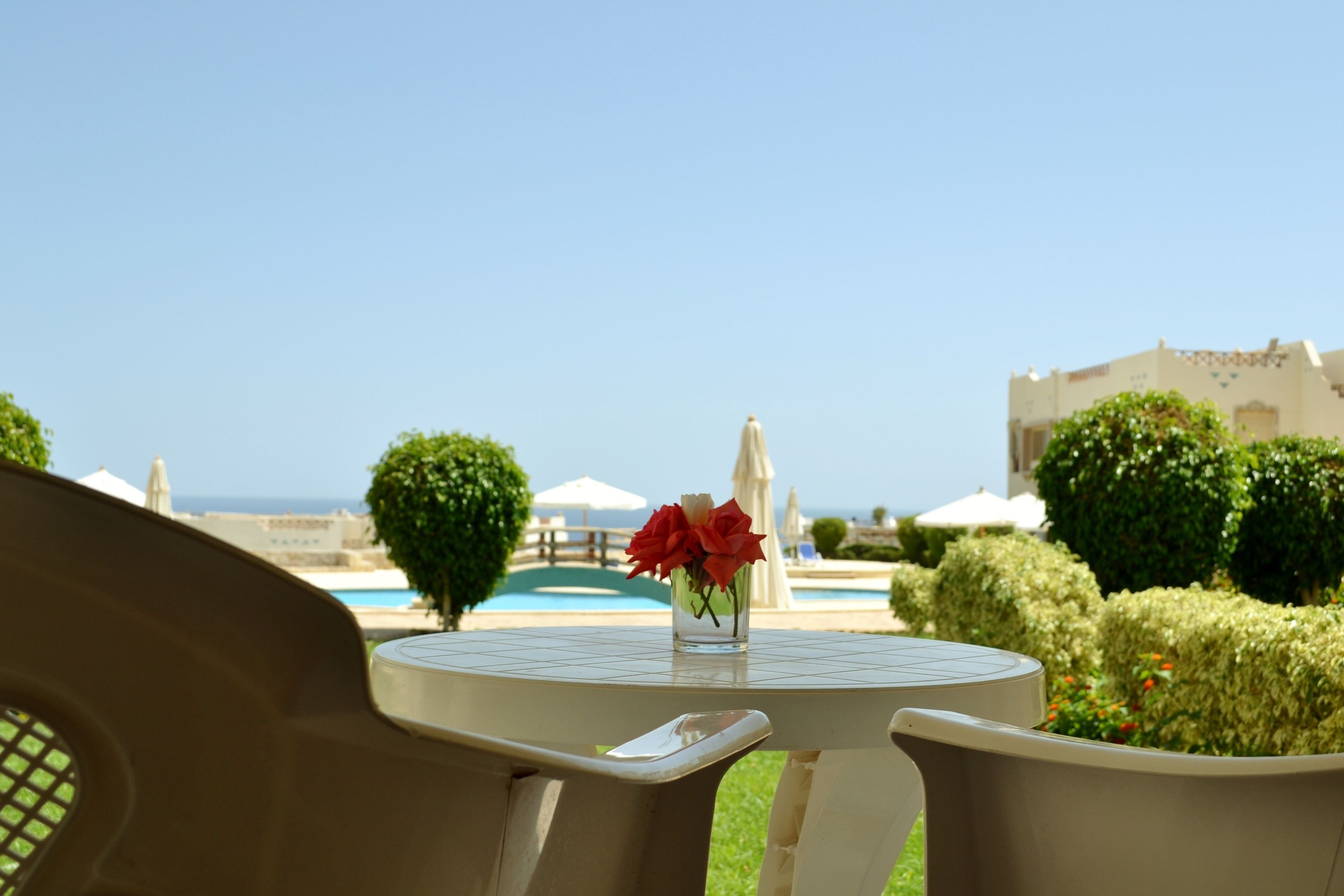A round table with a vase of red flowers, surrounded by beige chairs, overlooking a pool and a clear sky.