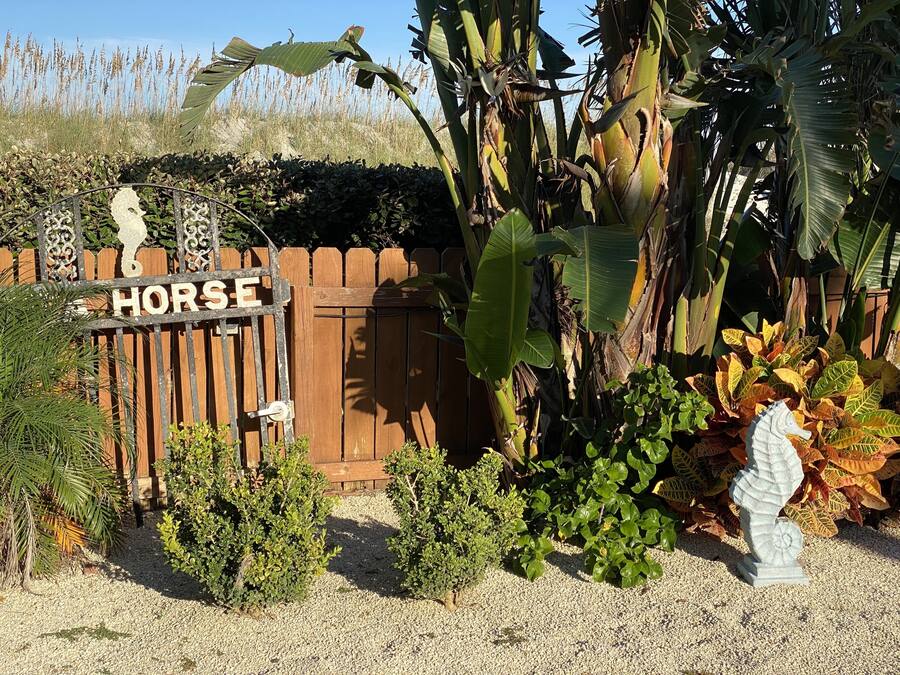 A wooden gate with a sign reading "HORSE" and a decorative seahorse statue.