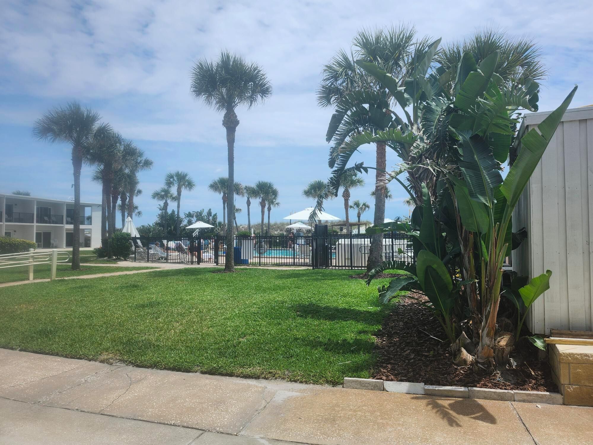 A well-maintained outdoor area with a pool, palm trees, and a building in the background.