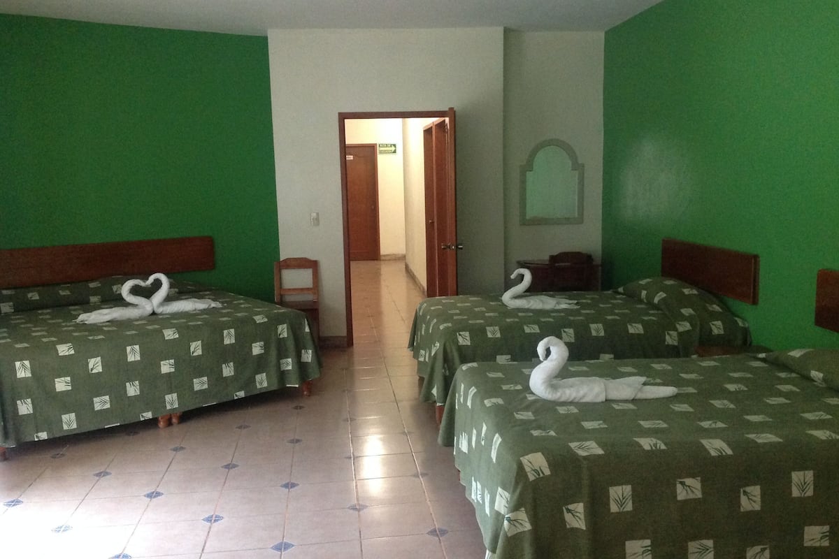 Habitación de hotel con tres camas, cada una adornada con una toalla con forma de cisne, paredes verdes y piso de baldosas.