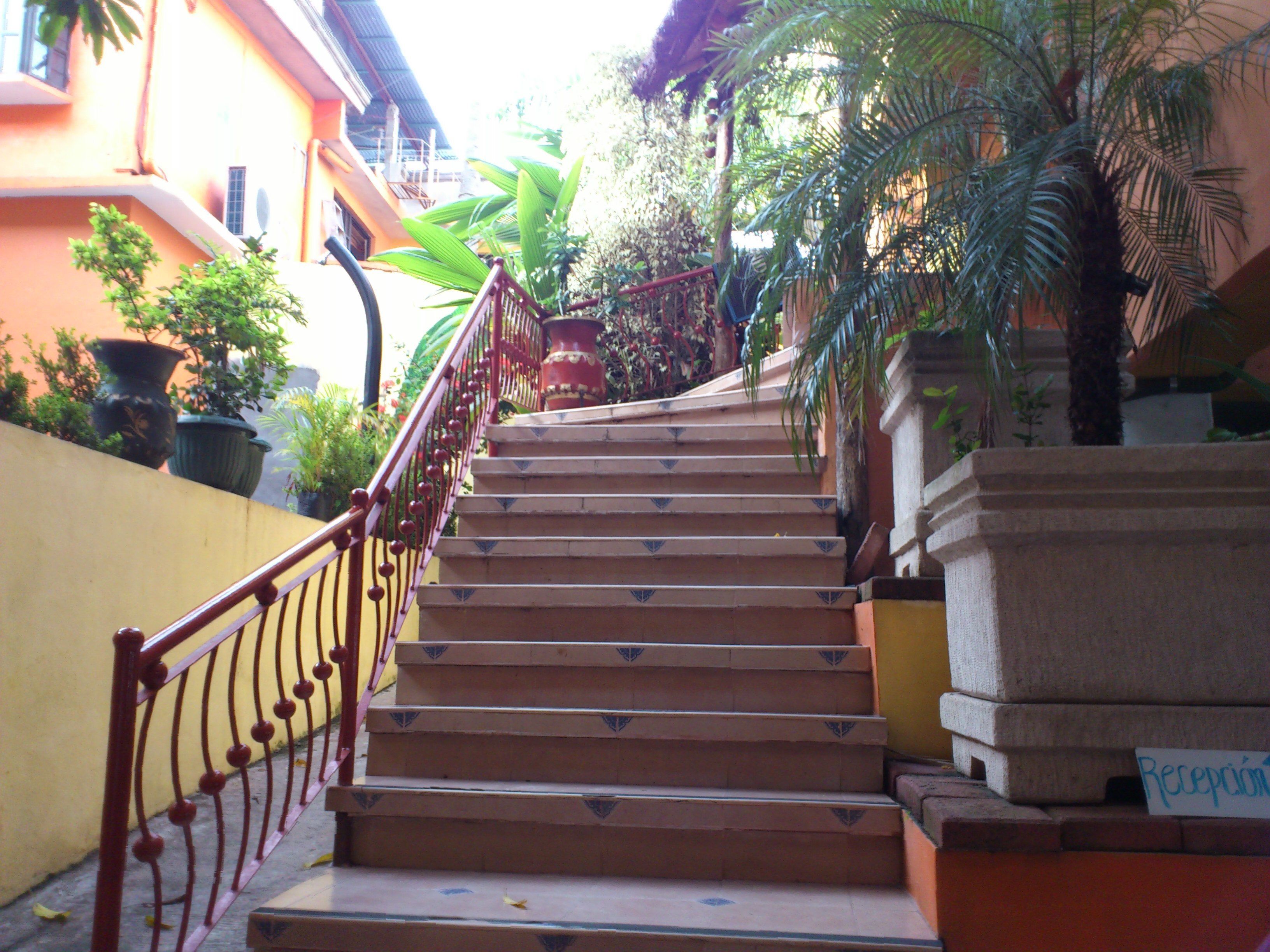 A staircase with red railings leading to a landing with a sign reading "Recepción".