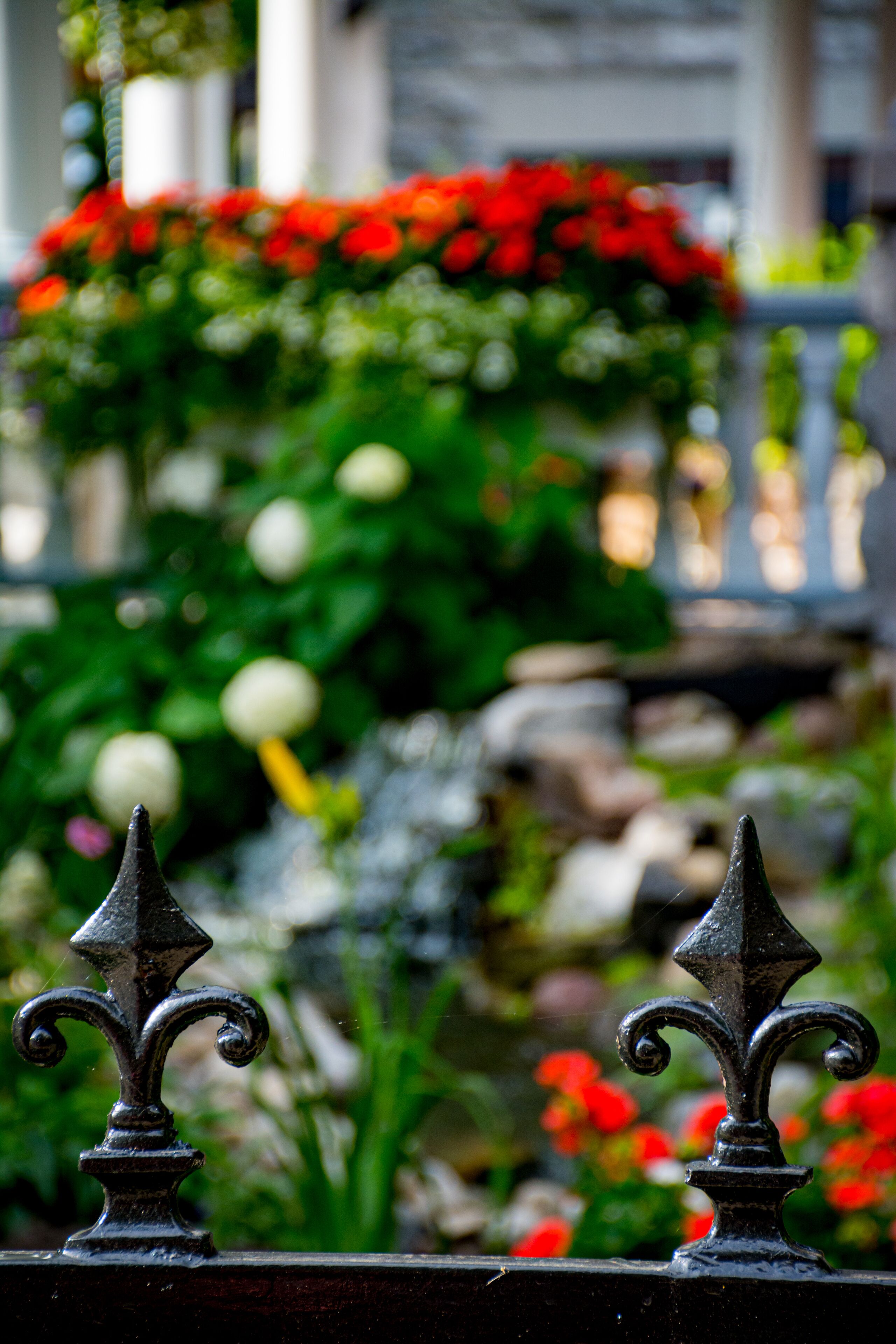 Primer plano de una valla de hierro forjado con un remate decorativo, frente a un jardín con flores rojas y follaje.