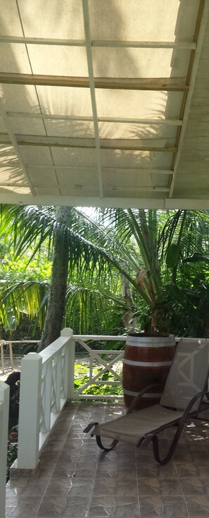 Terraza o patio